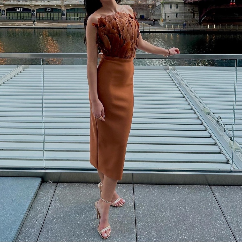 Feather Formal Dress.